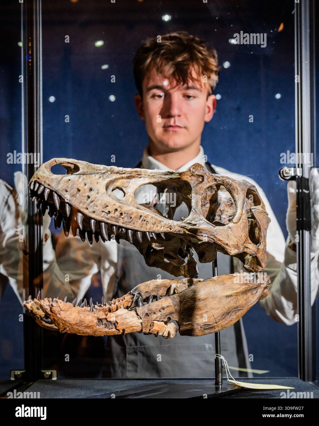 London, UK. 5 Dec 2025. Jaw bones of a Nanotyrannus , (South Dakota