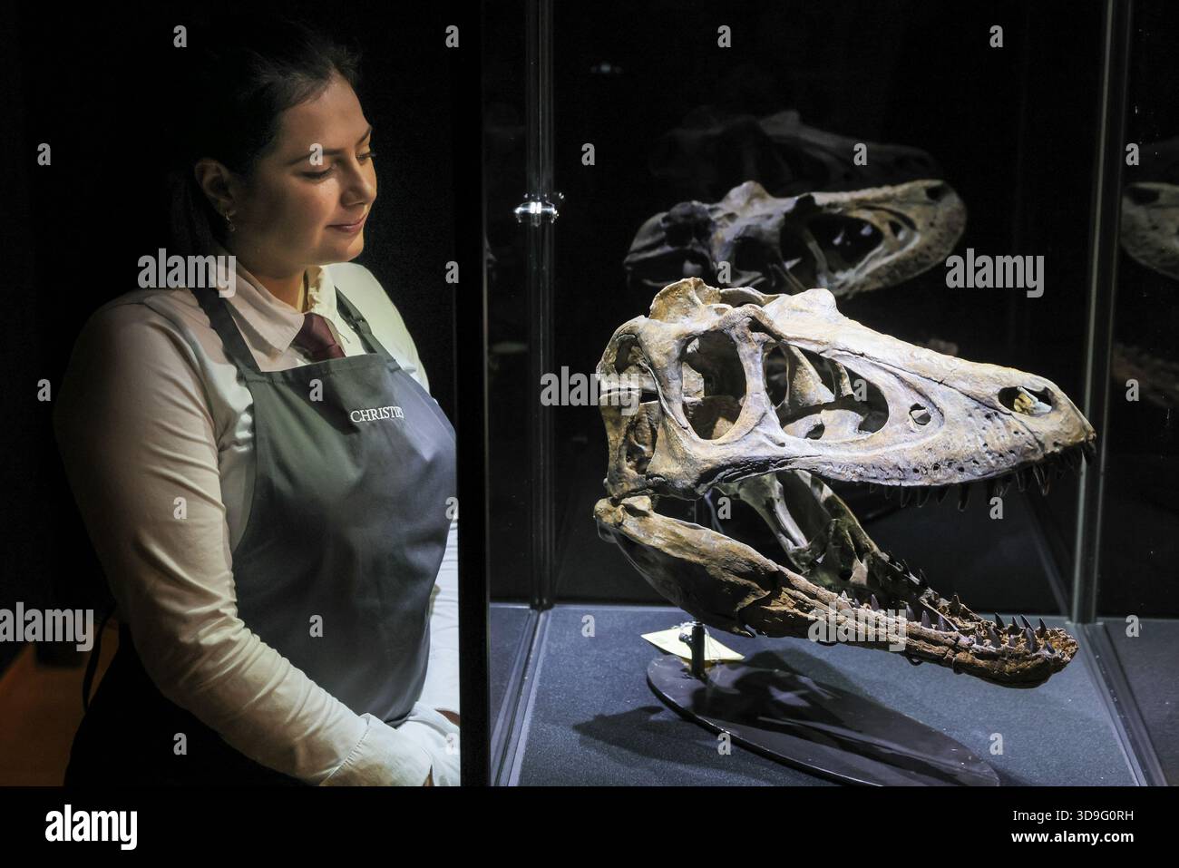 Rare Nanotyrannus sells at auction for $47.3 million, becoming second most valuable fossil ever