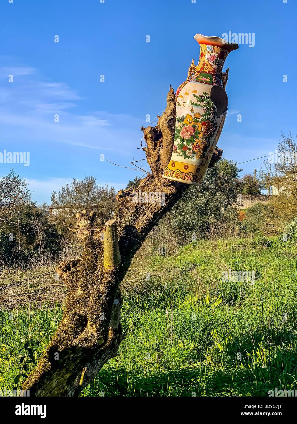 Broken vase on a tree stump - Smartphone Captured Stock Image