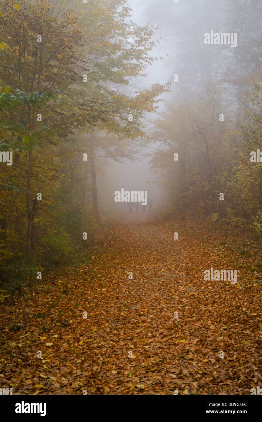 Group enjoys peaceful hike hi-res stock photography and images - Alamy
