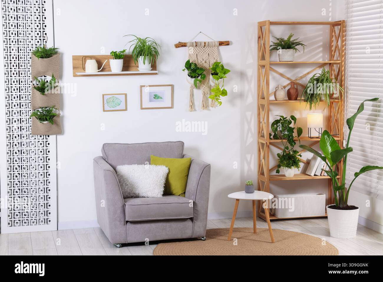 Beautiful room with armchair, shelving unit and different houseplants ...