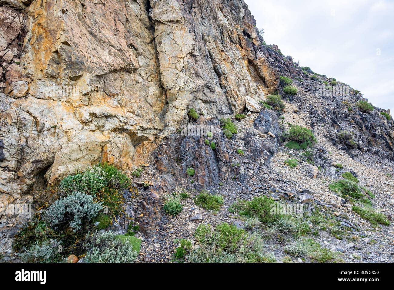 Contact metamorphism, dark shale rocks to the right intruded by light ...