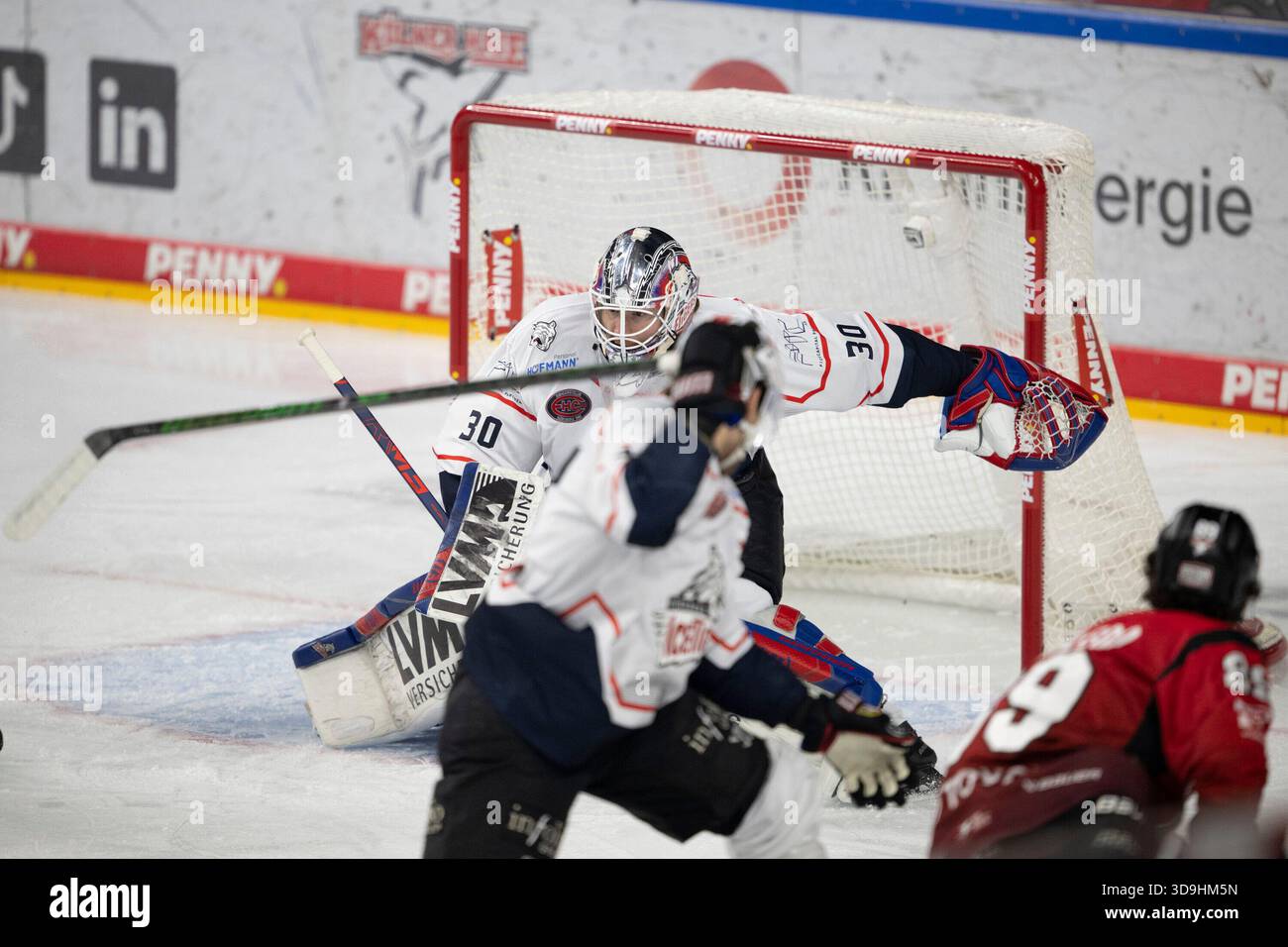 Evan Fitzpatrick (Nuremberg Ice Tigers, goaltender [goalkeeper], #30 ...