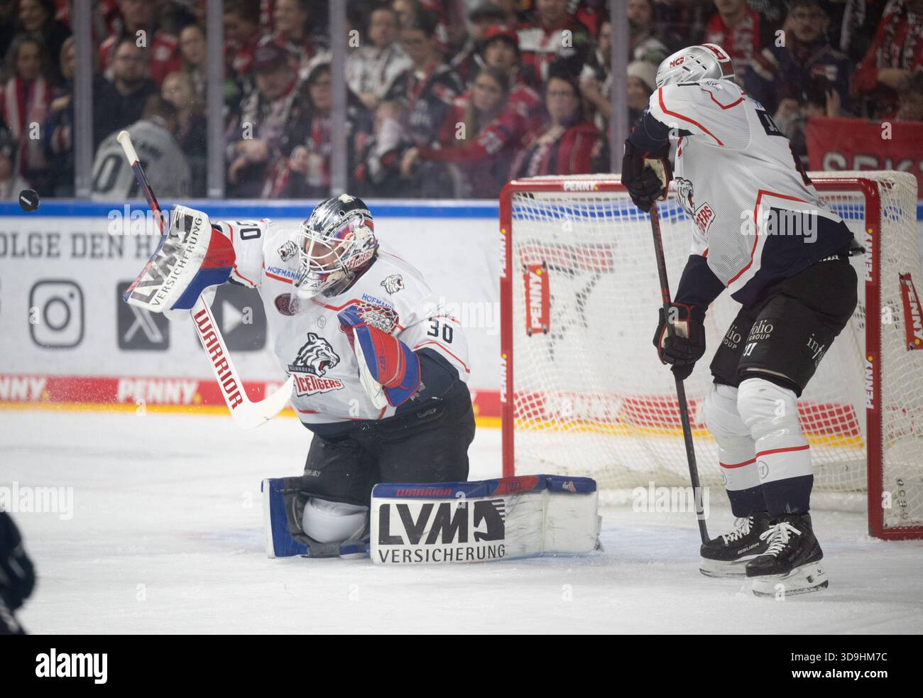 Evan Fitzpatrick (Nuremberg Ice Tigers, goaltender, #30); PENNY DEL ...
