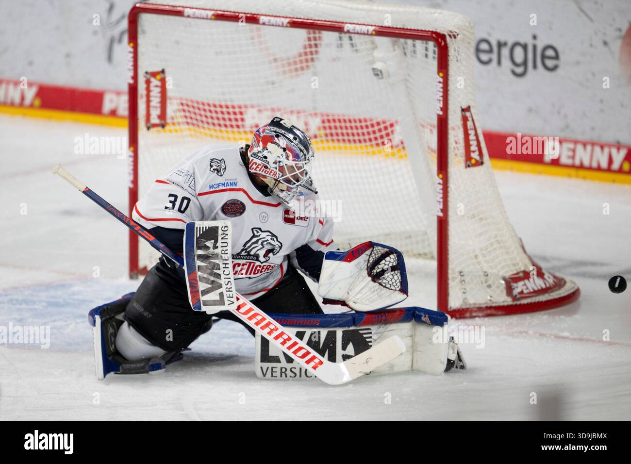 Evan Fitzpatrick (Nuremberg Ice Tigers, goaltender [goalkeeper], #30 ...