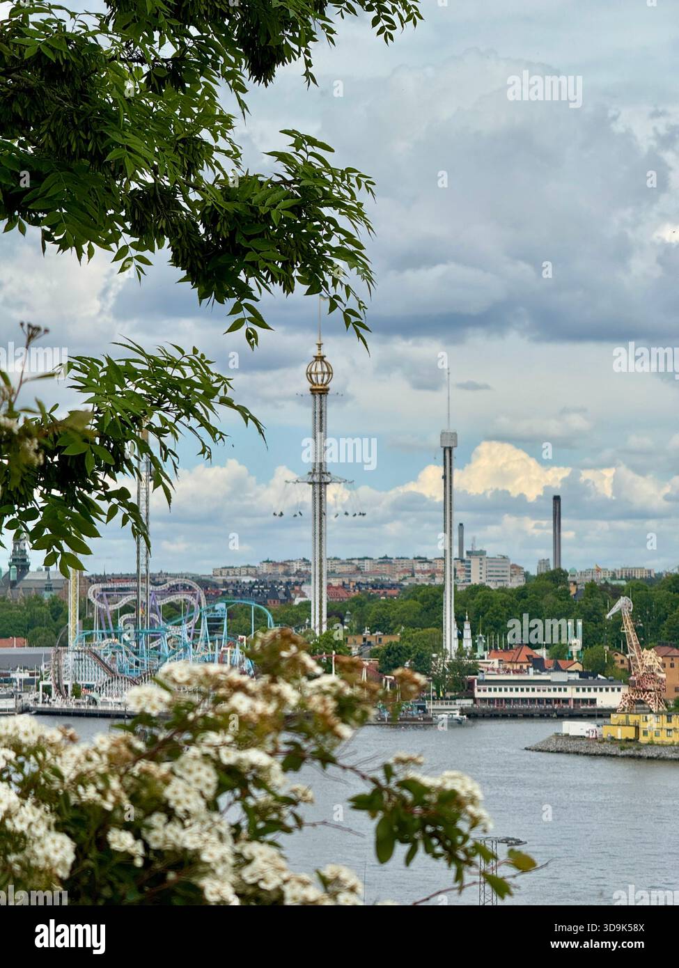 Scenic view of an amusement park and waterfront in Stockholm, Sweden, framed by green foliage and flowering branches on a cloudy summer day. - Smartphone Captured Stock Image