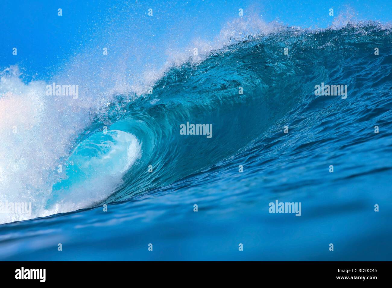 Massive blue ocean wave curling, bright turquoise barrel breaking with ...