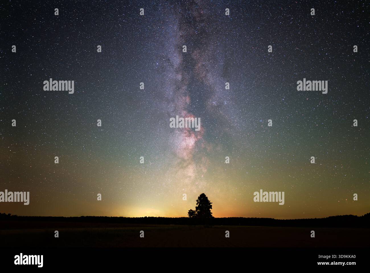 Photograph of the Milky Way in a starry night sky above a solitary tree ...