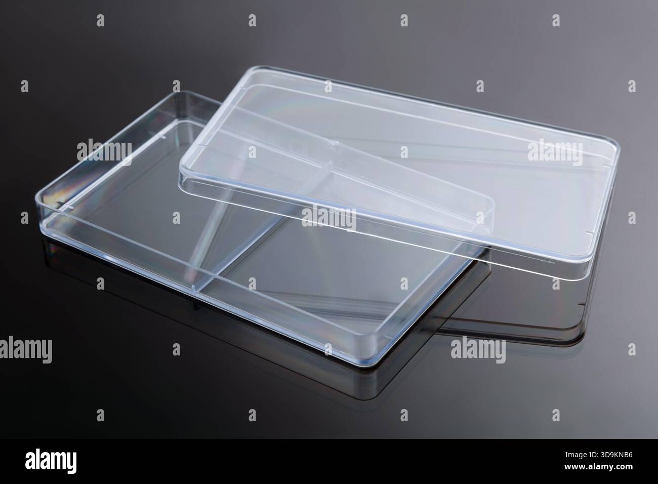 Rectangular Petri dish. A glass laboratory container for samples. A disposable laboratory container for laboratory samples. Stock Photo