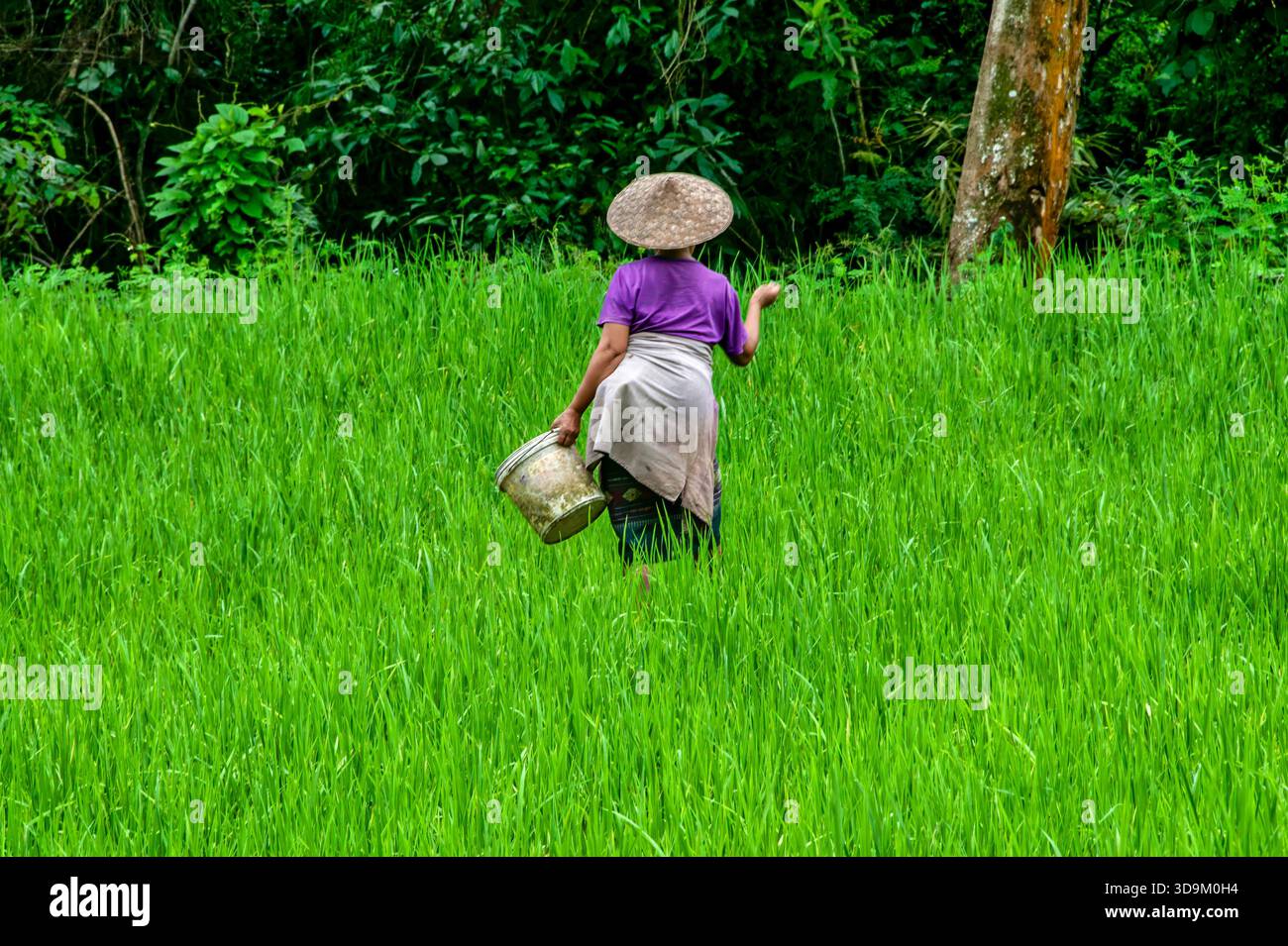 Rural scenes in Kuang Si landscapes, Luang Prabang, Laos. September 2023 Stock Photo