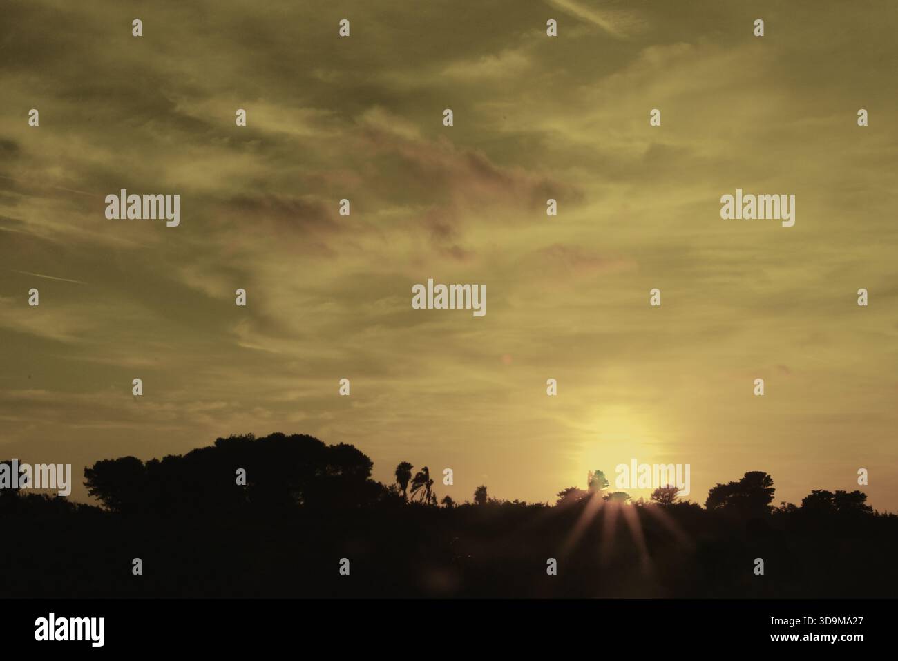 Enchanting sunset. A horizon of black trees and hills. Sepia toned photograph Stock Photo