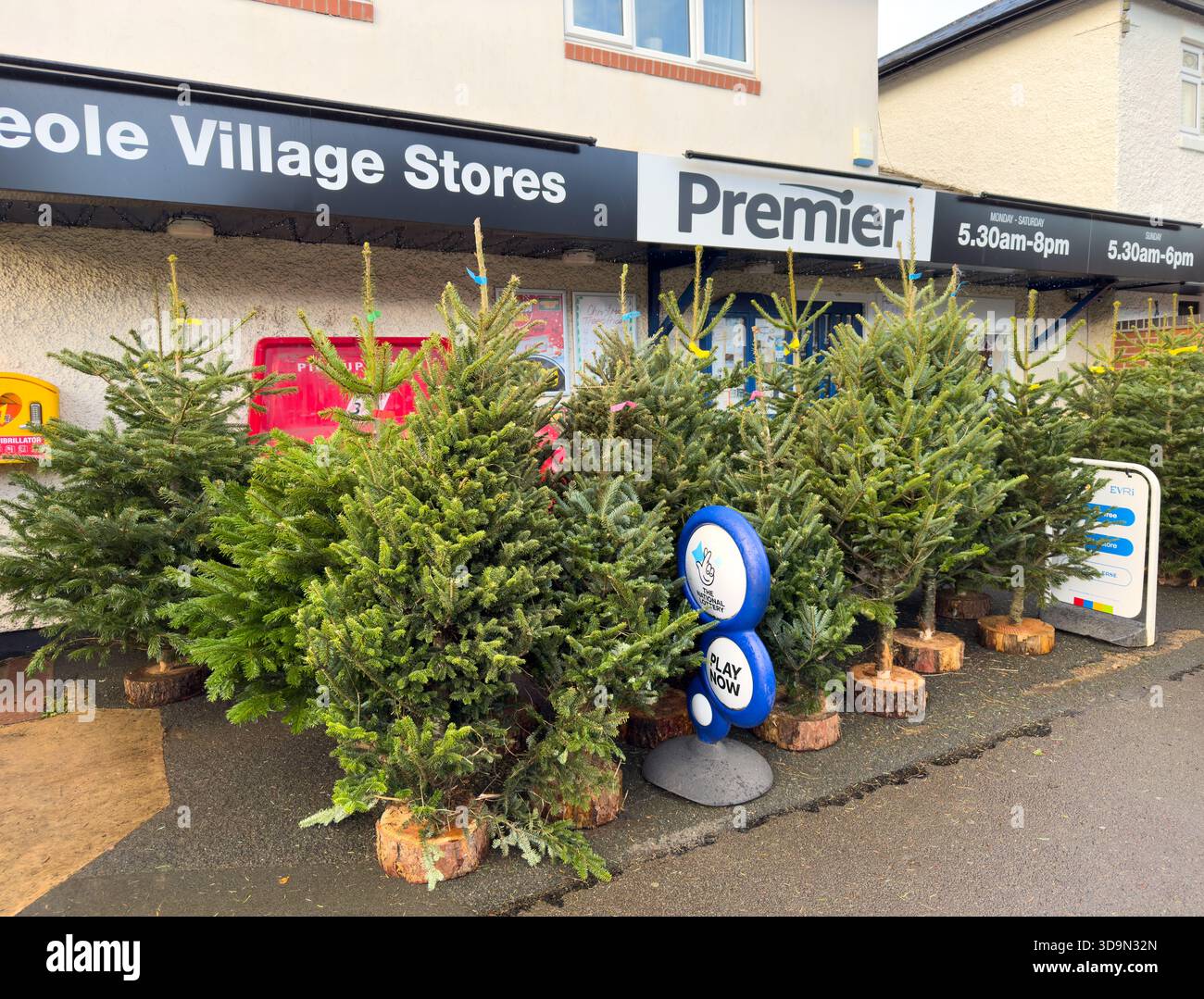 A large number of Christmas trees for sale outside a local Premier shop in a UK suburb. - Smartphone Captured Stock Image