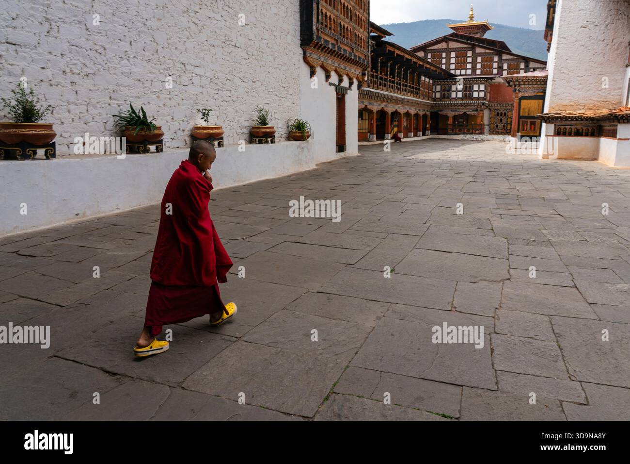 Young buddhist monk, Rinpong Dzong Monastery, Paro, Bhutan. Stock Photo