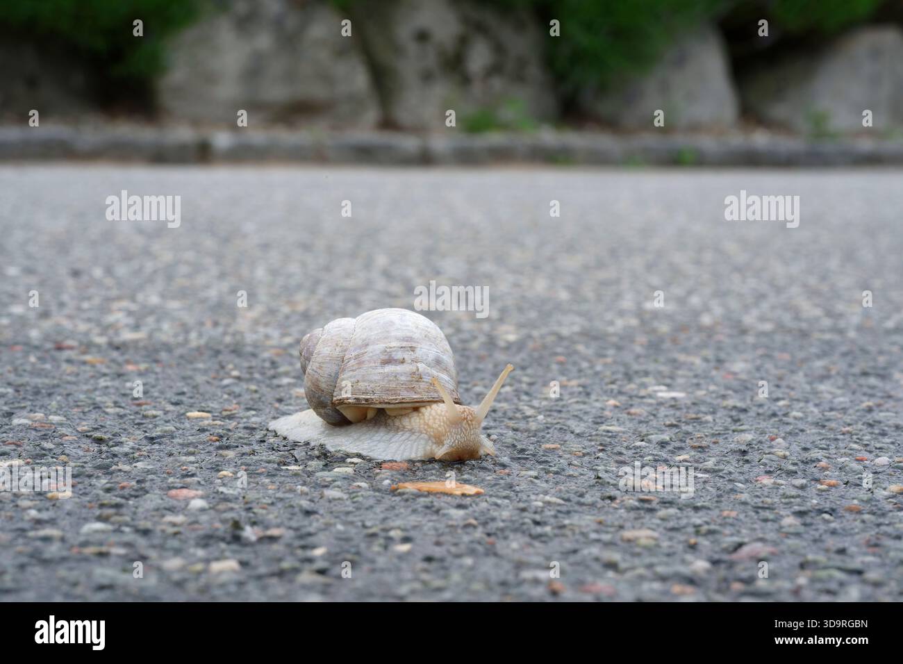 Leftward Curce Leftward curve hi-res stock photography and images - Alamy
