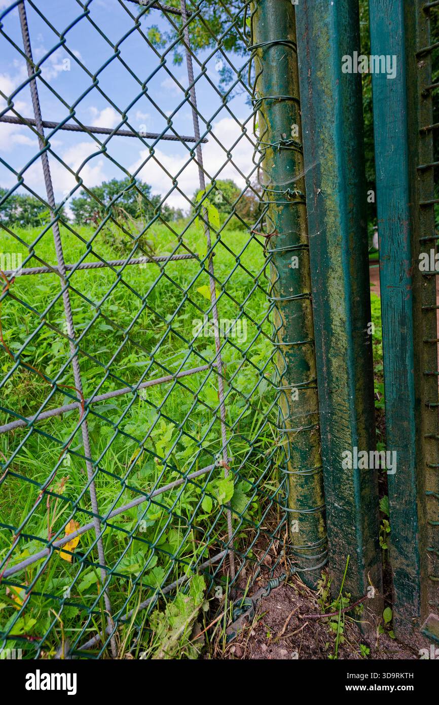 Metal Fance Rods A metal mesh fence is reinforced with separate vertical metal rods ...
