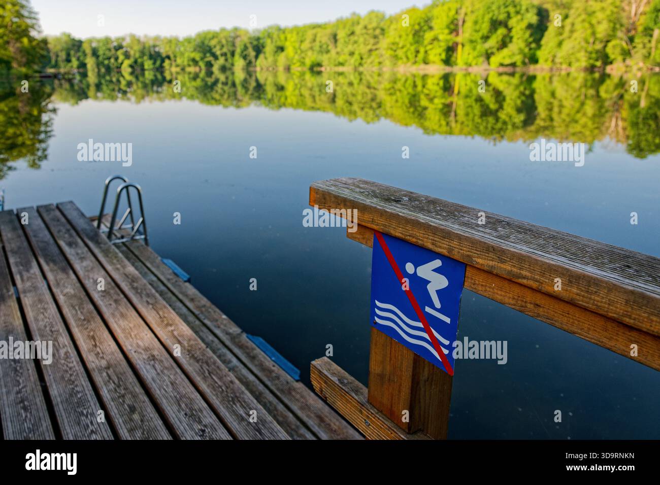 A wooden pier meets the lake, a metal ladder drops into the water, while a sign shows a blue jumper crossed out to warn no diving. Evening stillness a Stock Photo