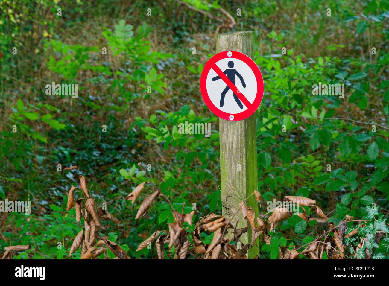 On a simple post a sign shows a walking figure crossed out, warning ...