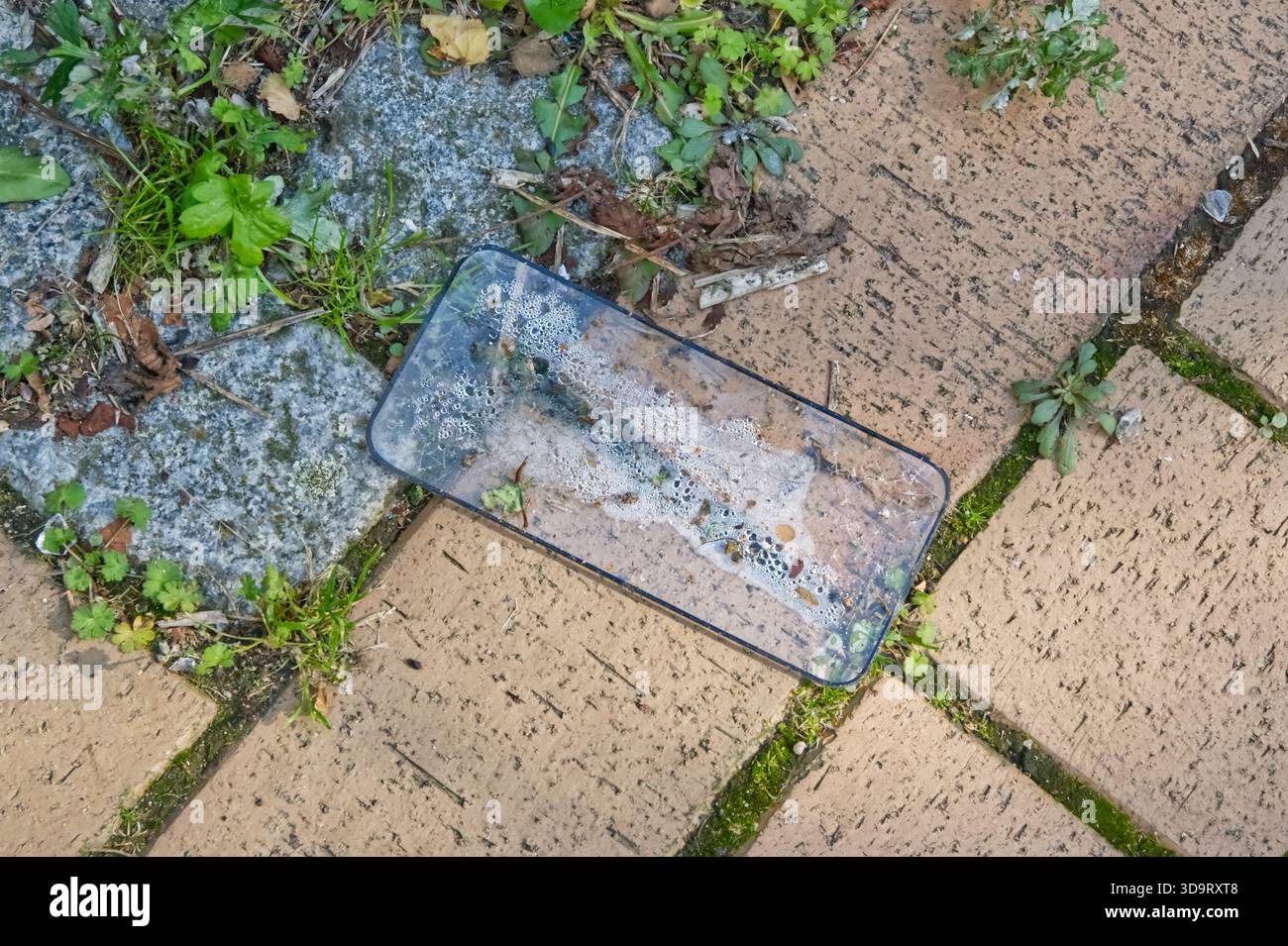 A broken smartphone Display-Glass lying on a paved surface, partially submerged in soapy water. Surrounding the phone are small patches of grass and w Stock Photo