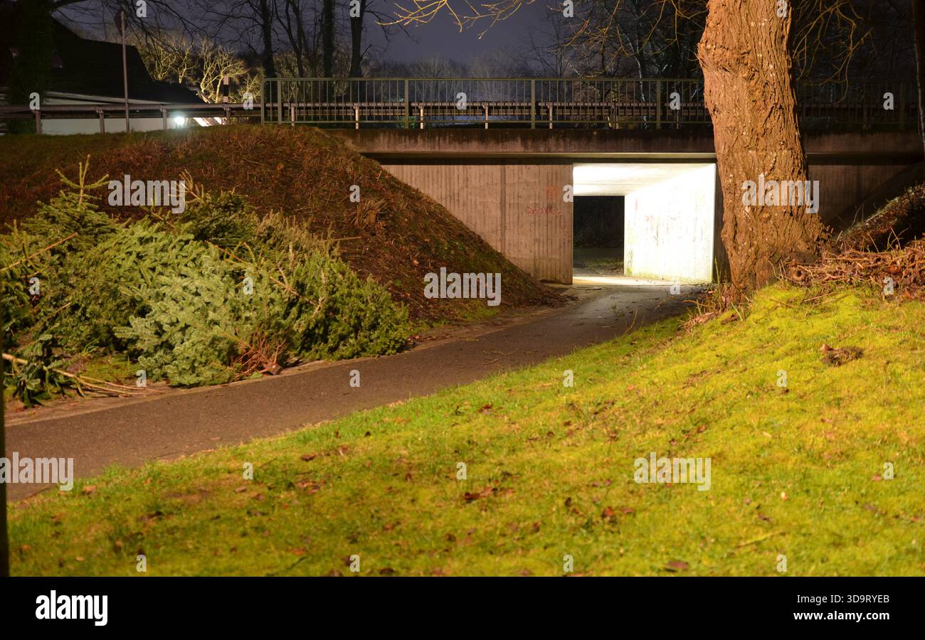 A dimly lit pathway leading through a concrete underpass, surrounded by ...