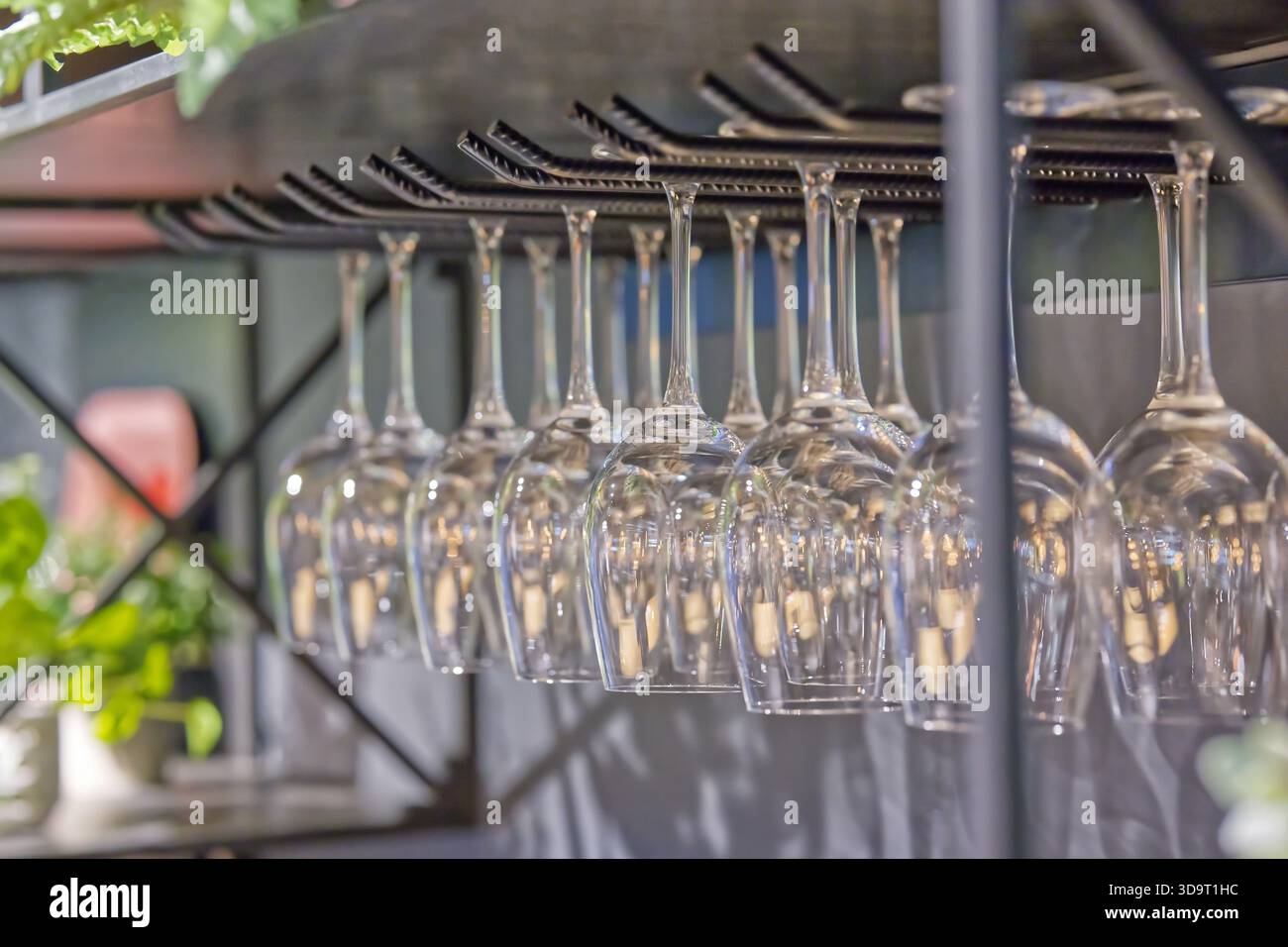 Row of upside-down wine glasses hanging from a rack in a bar setting Stock  Photo - Alamy