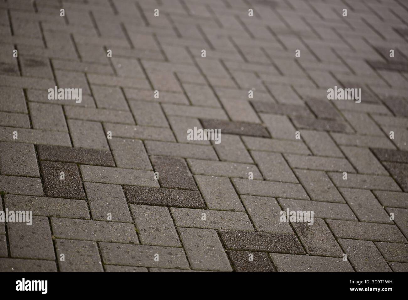 A close-up view of a patterned pavement made of rectangular stones arranged in a herringbone pattern. The surface is textured and features various sha Stock Photo