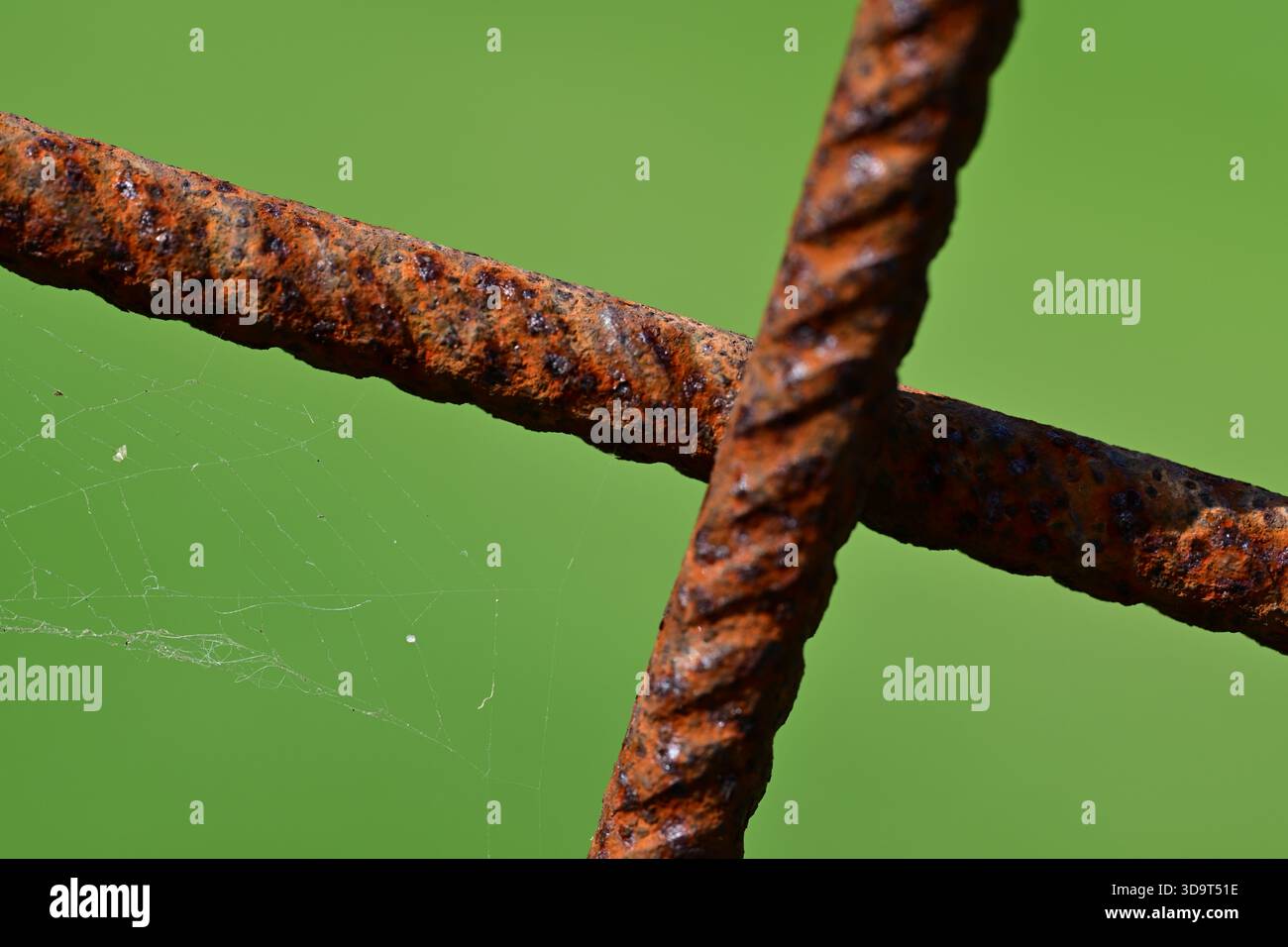 Close-up of rusty metal rods intersecting, with a spider web visible in the background. The vibrant green backdrop contrasts with the textured rust. Stock Photo