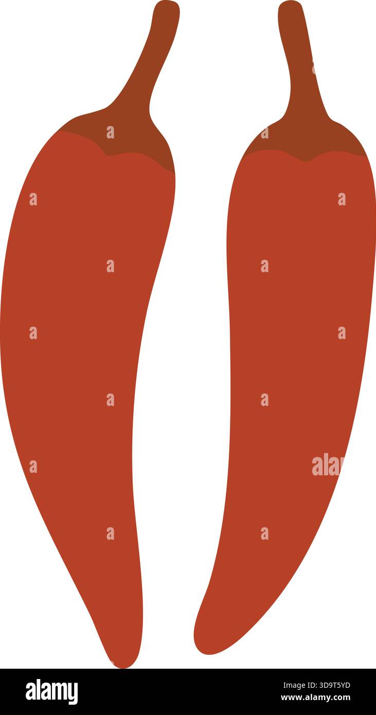 Two long red chilies with curved stems presented side by side. Stock Vector