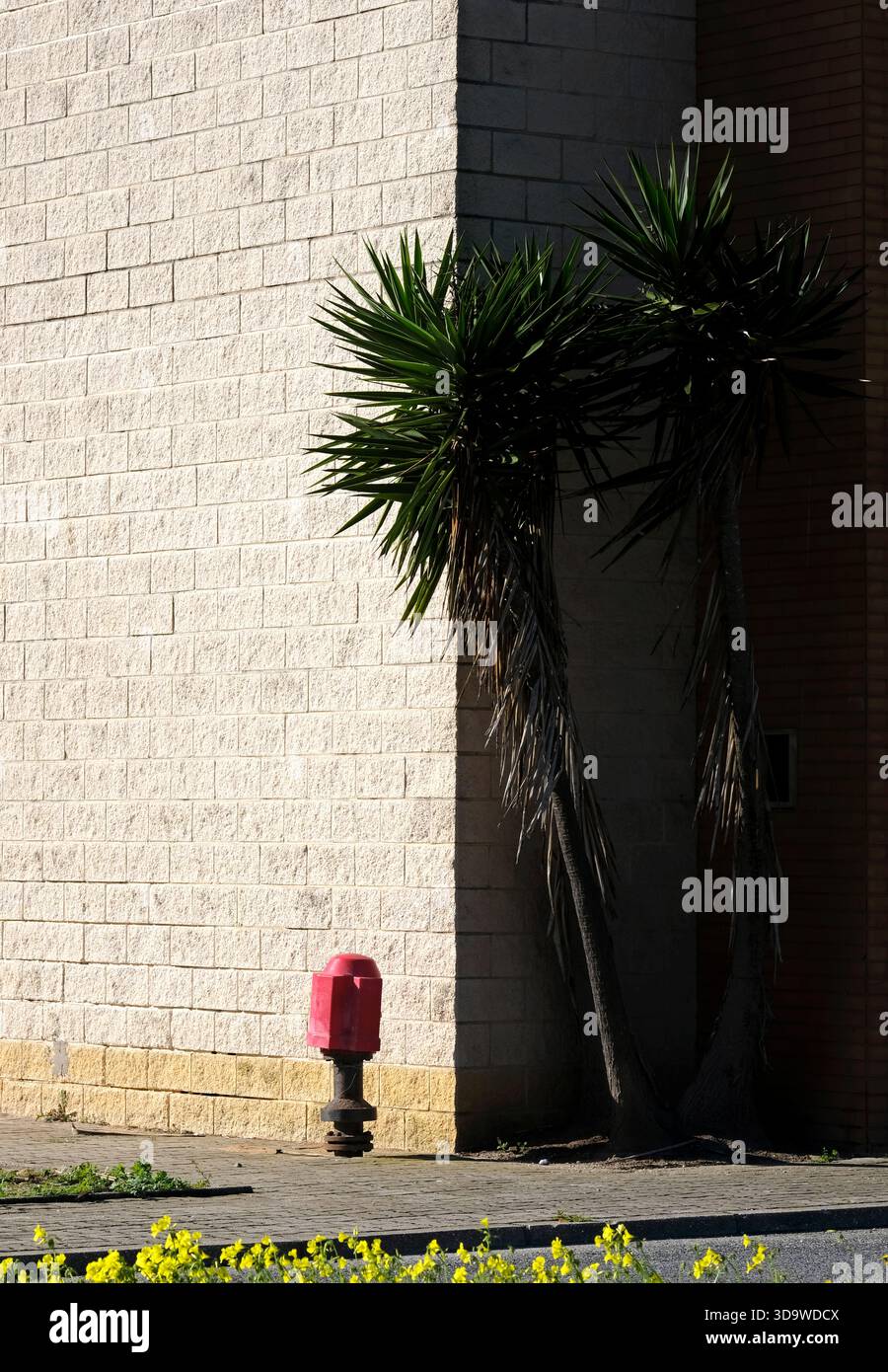 Corner of a building with one half in the sun, one half in the shade Stock Photo
