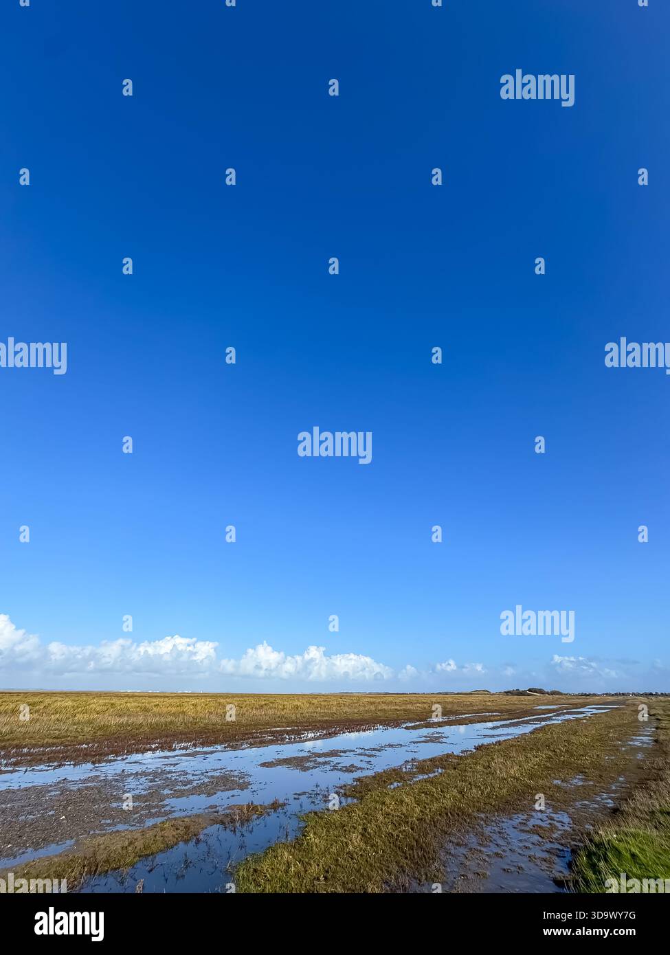 Marshside RSPB, Southport, Lancashire - Smartphone Captured Stock Image