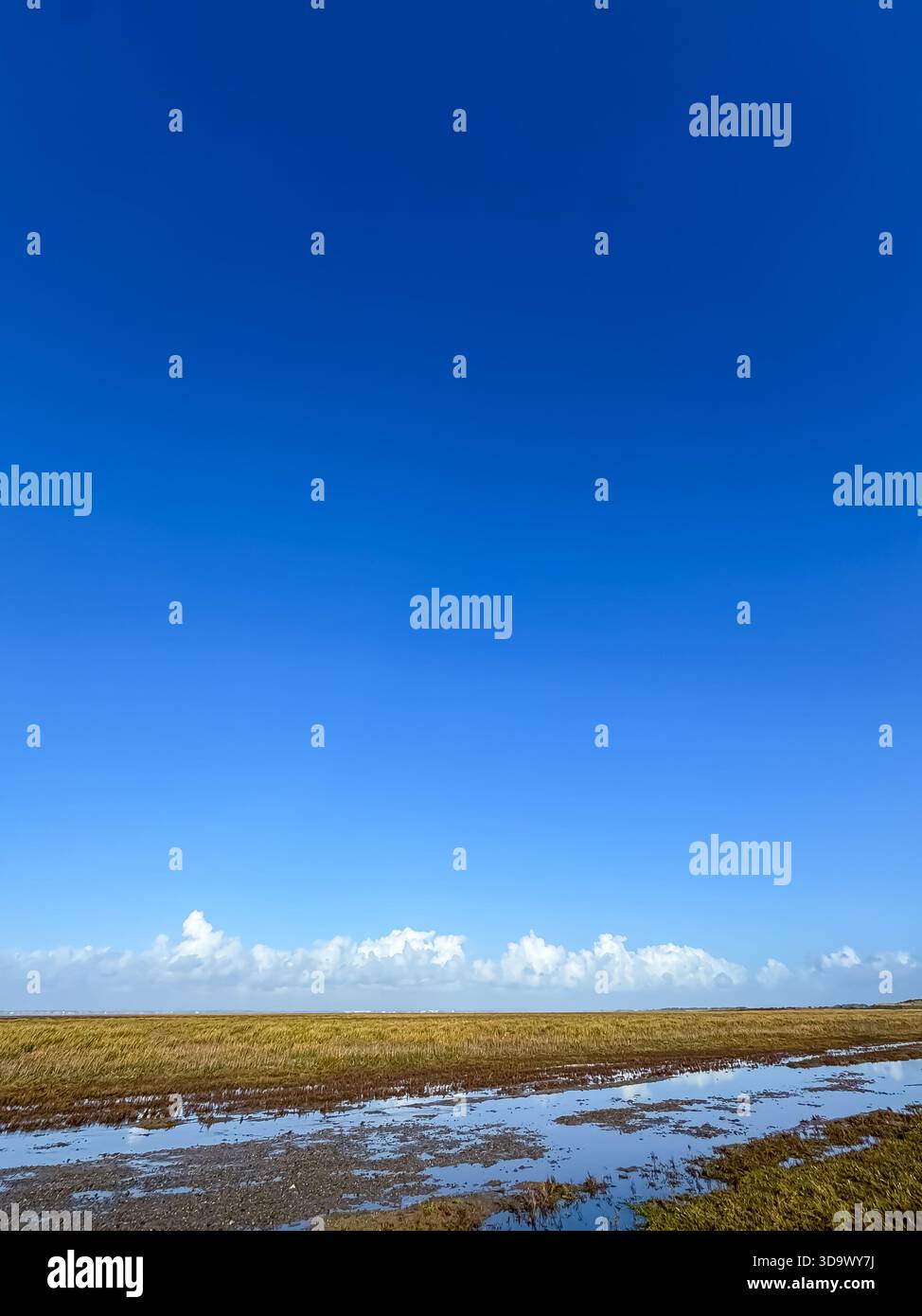 Marshside RSPB, Southport, Lancashire - Smartphone Captured Stock Image