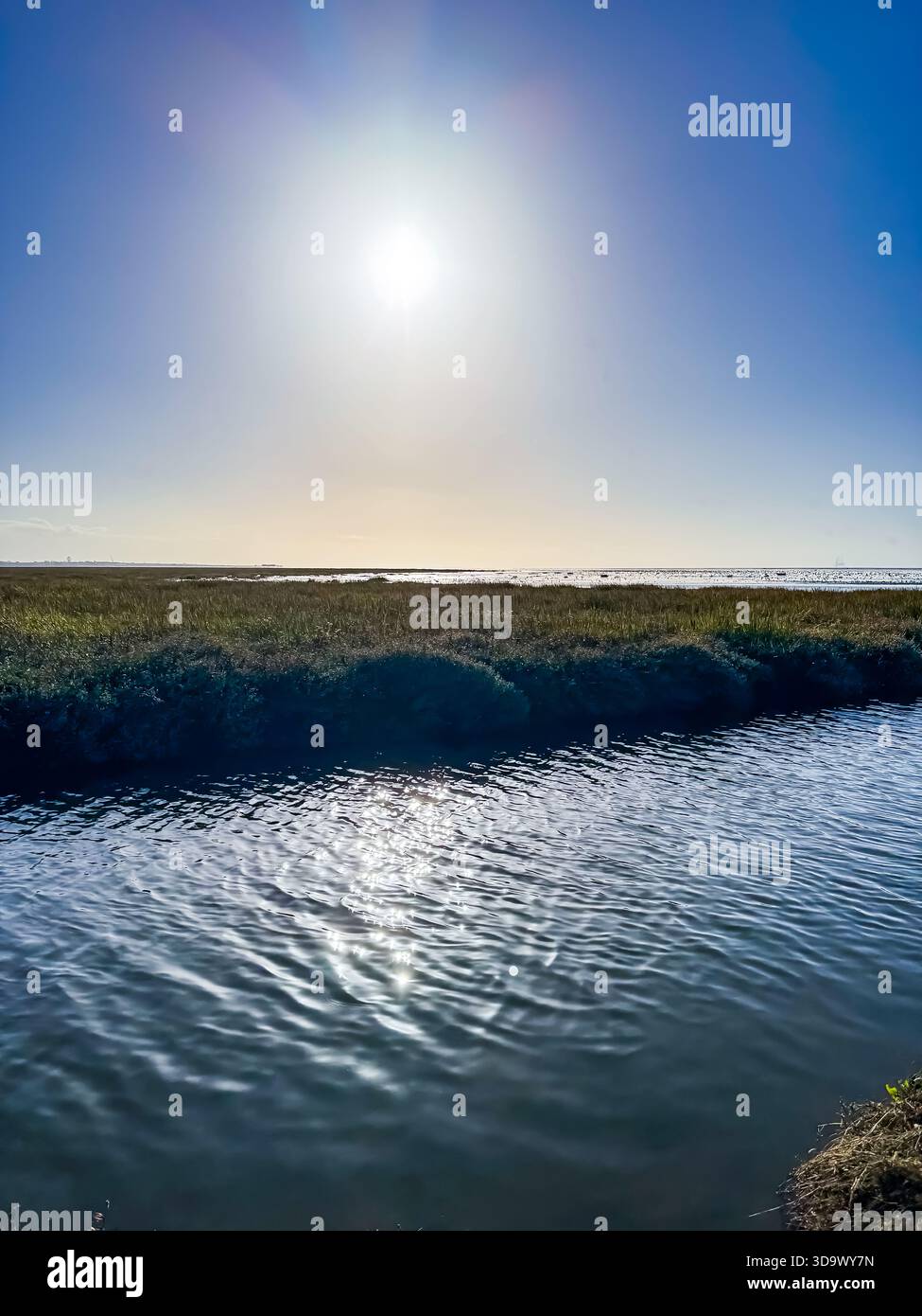 Marshside RSPB, Southport, Lancashire - Smartphone Captured Stock Image