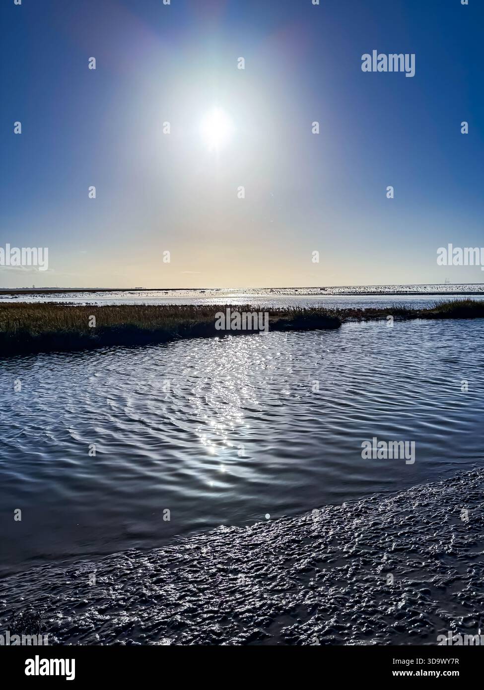 Marshside RSPB, Southport, Lancashire - Smartphone Captured Stock Image