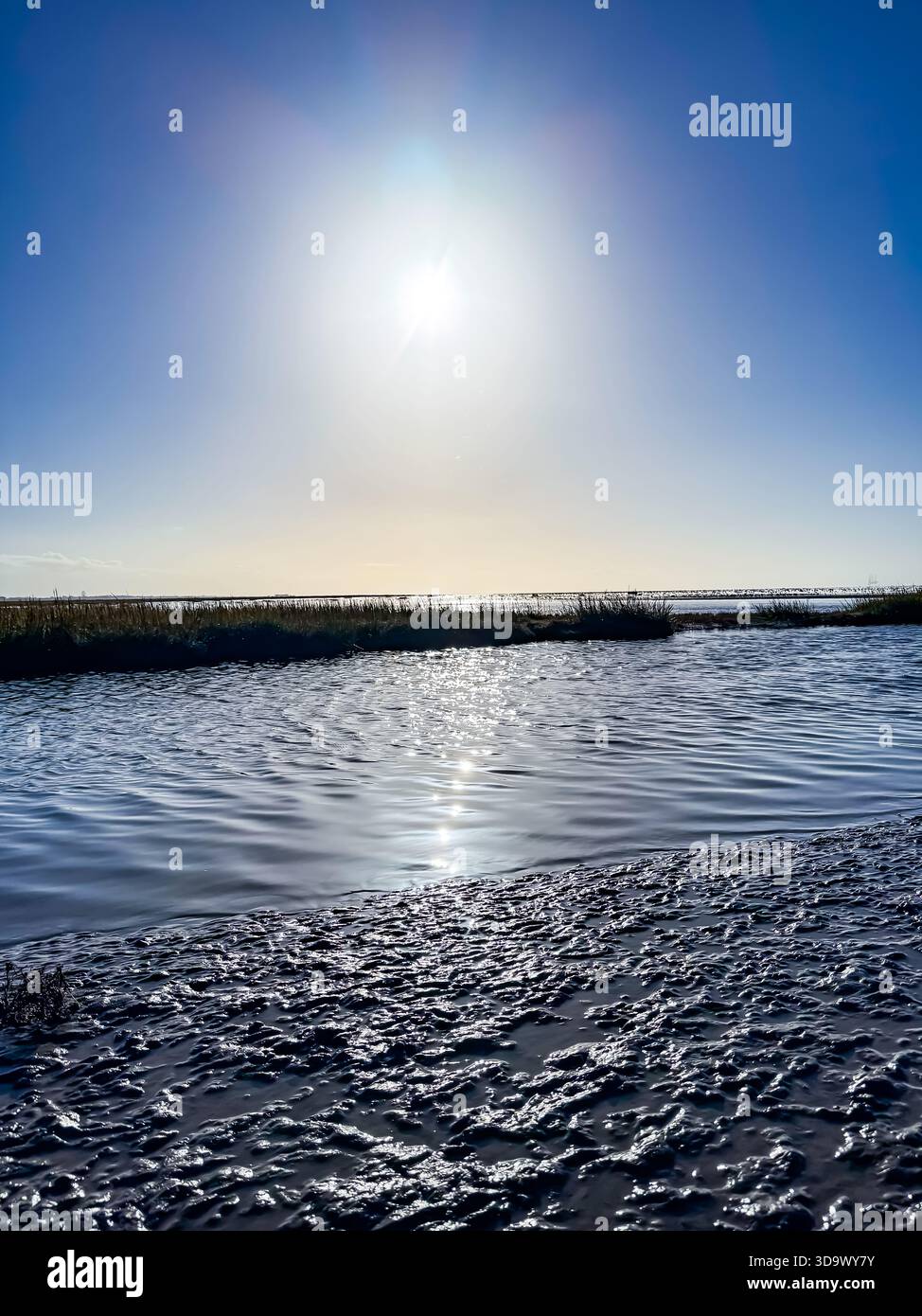 Marshside RSPB, Southport, Lancashire - Smartphone Captured Stock Image