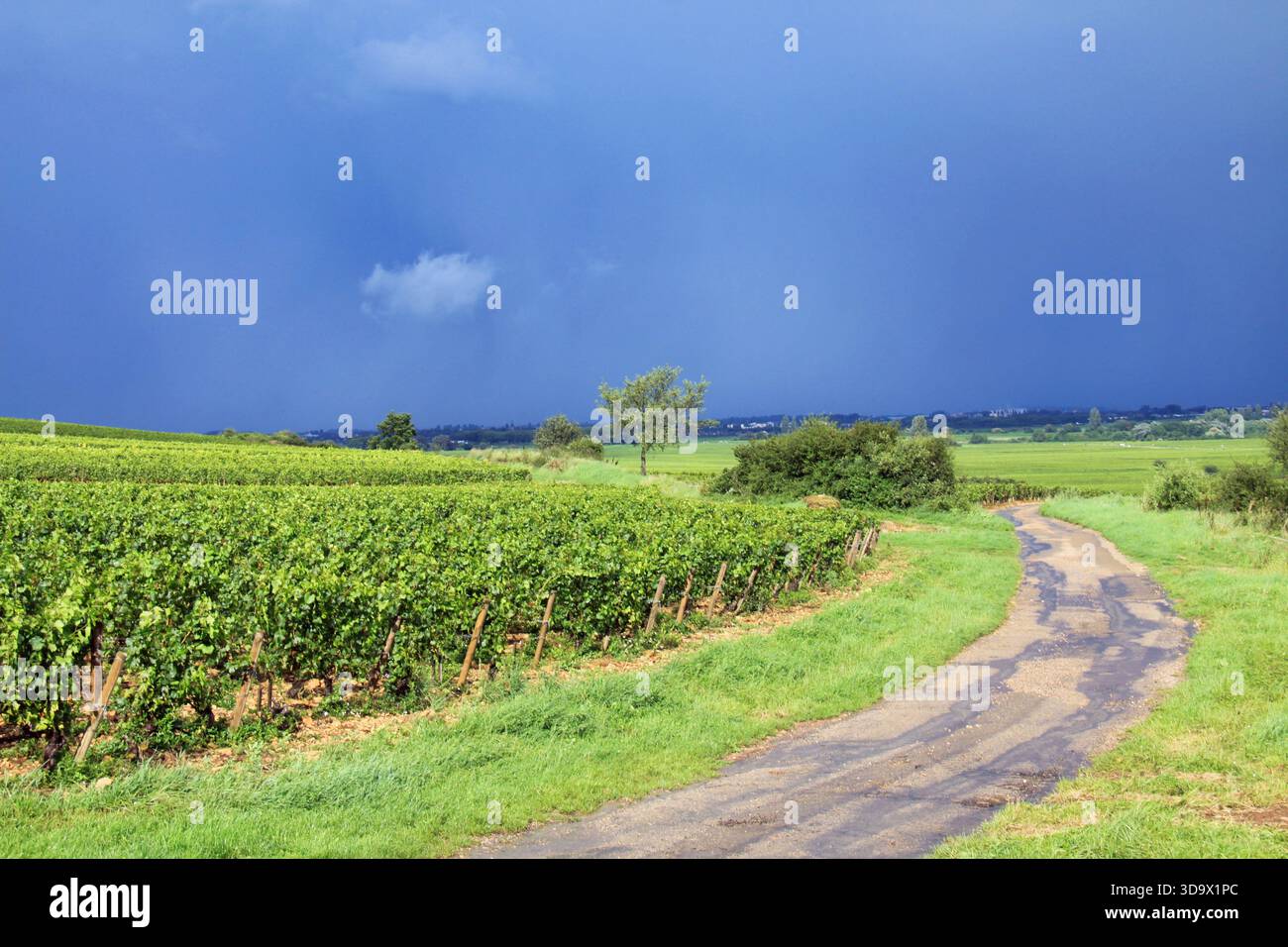 Dirt road under the dark sky hi-res stock photography and images - Alamy