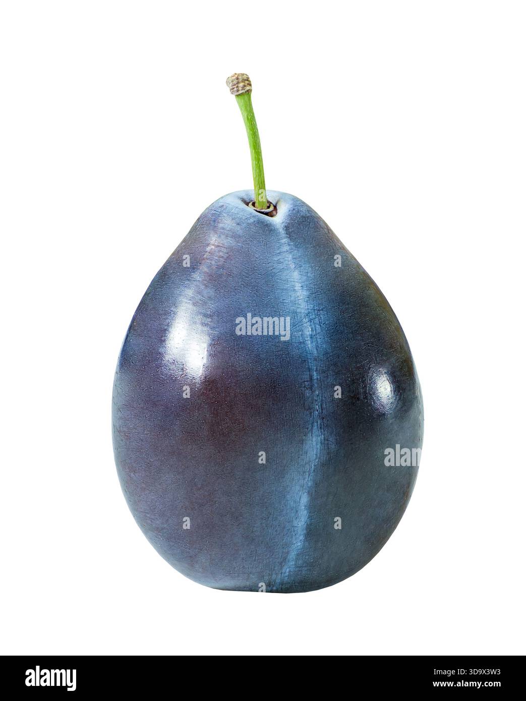 blue plum one whole, isolated on white Stock Photo
