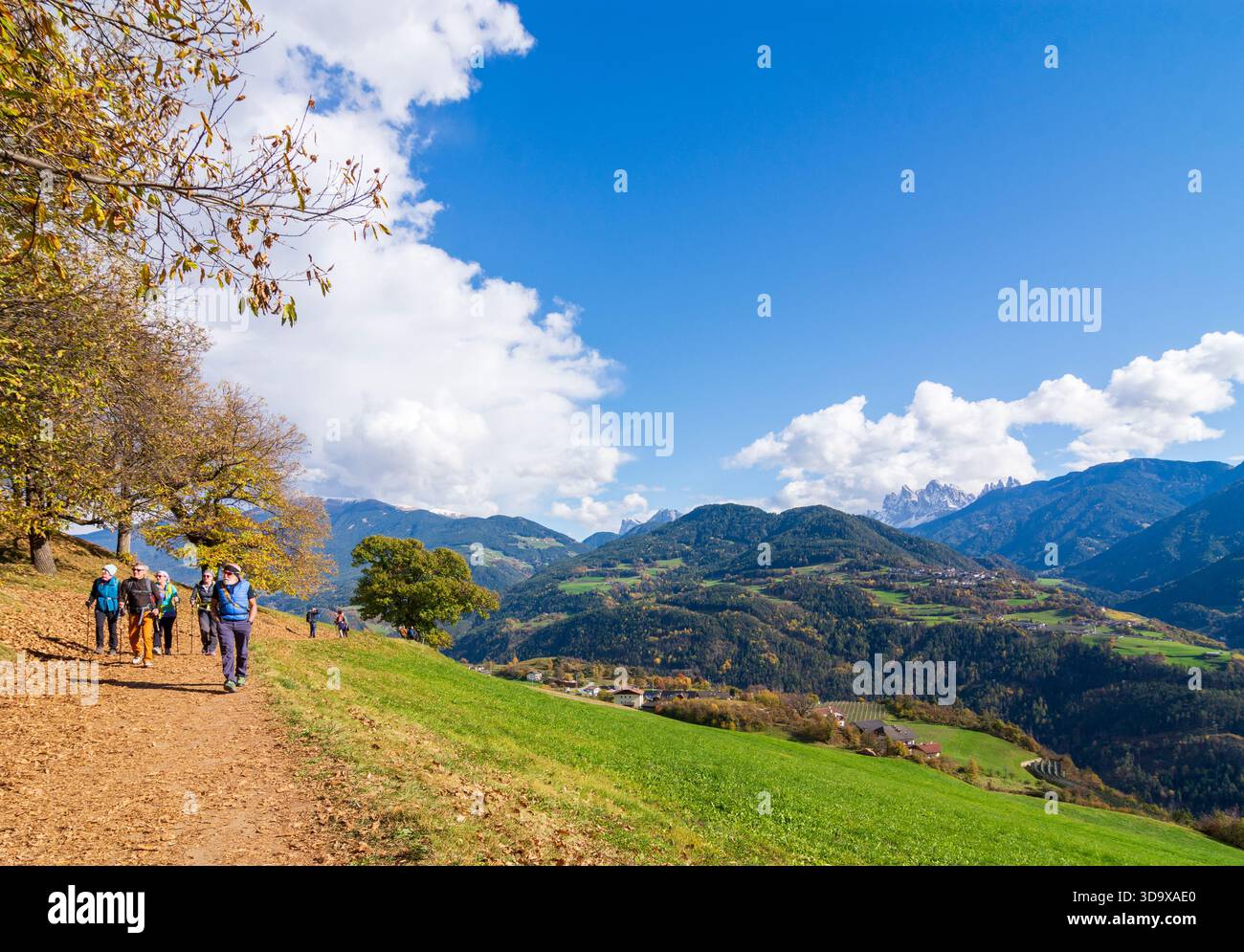 Keschtnweg Hi res Stock Photography And Images Alamy keschtnweg-hi-res-stock-photography-and-images-alamy