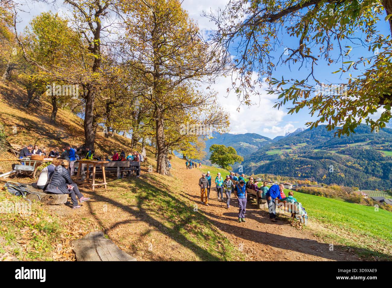 Keschtnweg Hi res Stock Photography And Images Alamy keschtnweg-hi-res-stock-photography-and-images-alamy