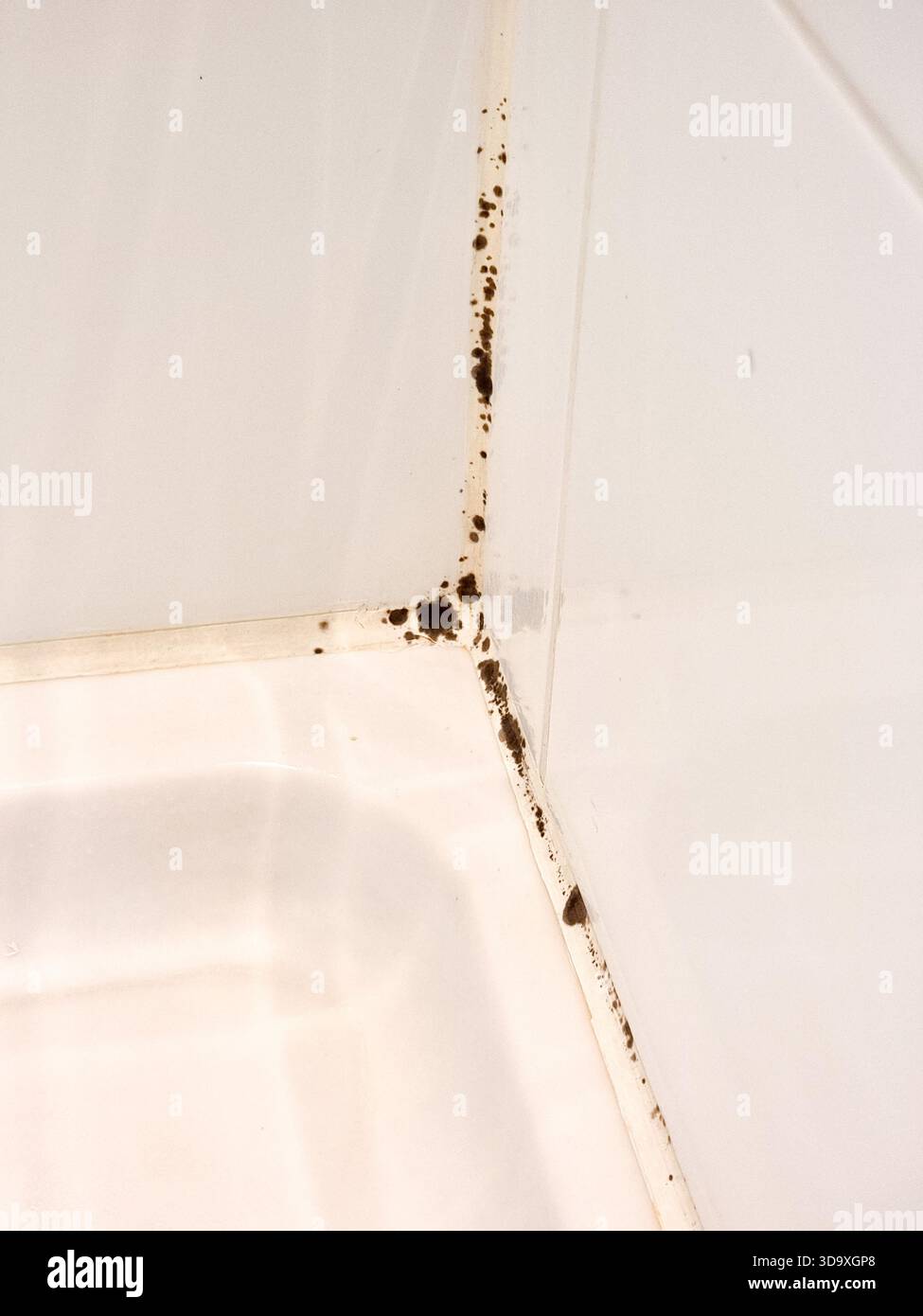 Black mold / fungus / mildew in the corner of a white shower cabin, bathroom, with white tiles; Stachybotrys chartarum - Smartphone Captured Stock Image
