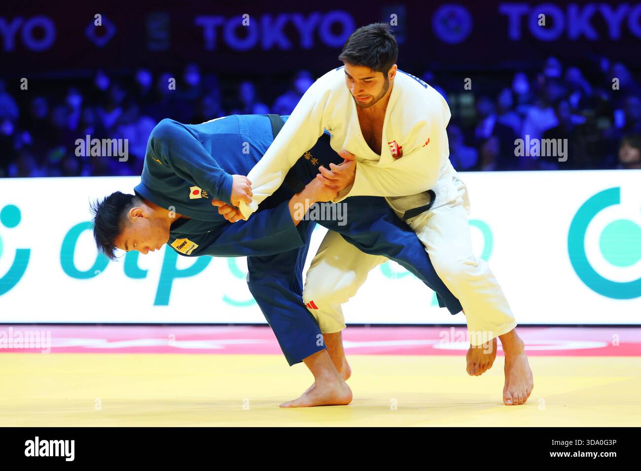 Dominance at the Tokyo Metropolitan Gymnasium Dominance at the Tokyo Metropolitan Gymnasium