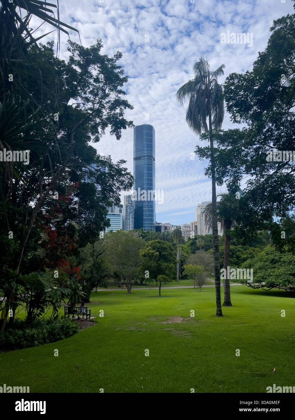 Brisbane Skytower rising above the lush trees of the City Botanic Gardens in Brisbane, Queensland, Australia - Smartphone Captured Stock Image