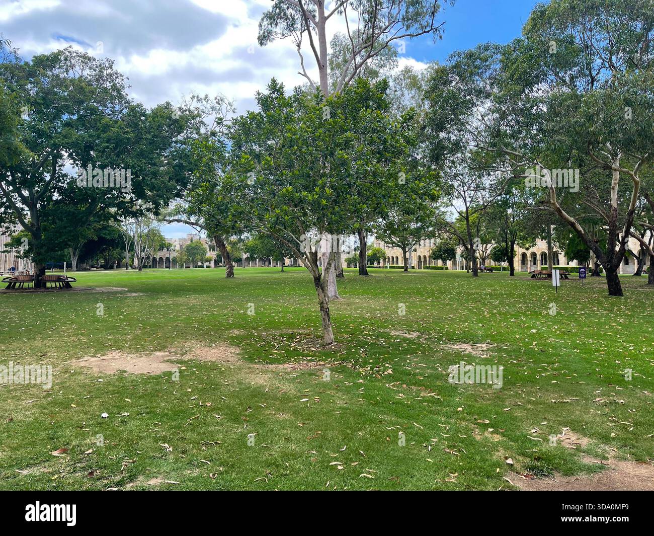 The Great Court lawn and historic sandstone buildings at the University of Queensland St Lucia campus in Brisbane, Australia - Smartphone Captured Stock Image
