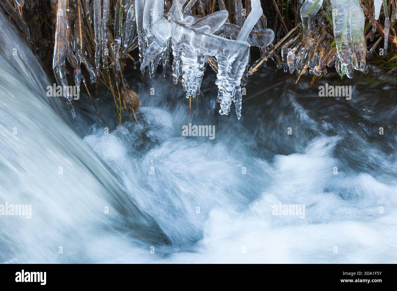 Grass covered with ice at the creek Stock Photo