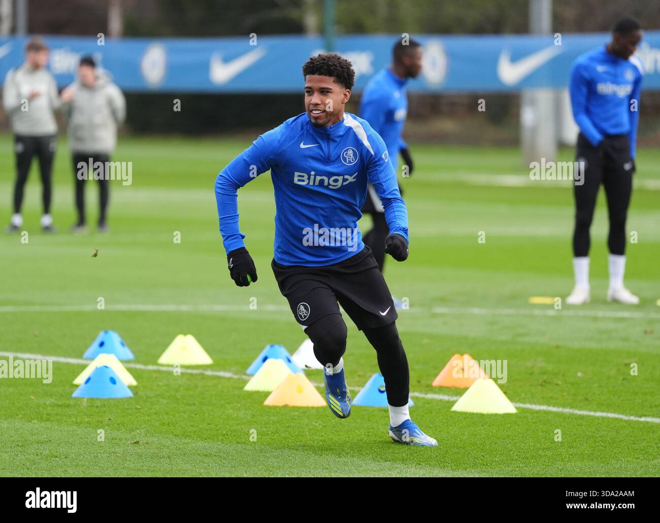 Factors Influencing a Potential Transfer