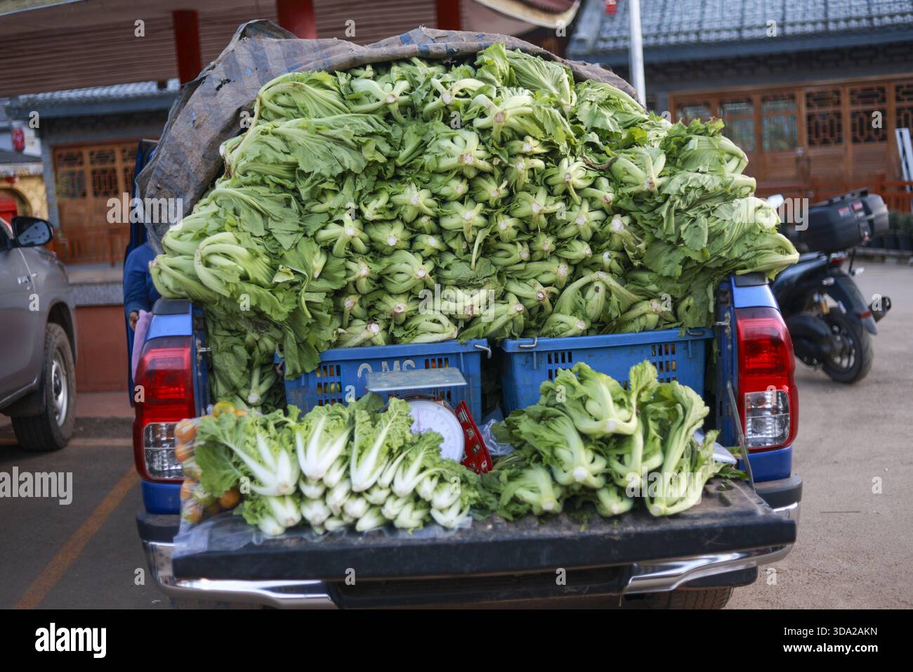 Pickup truck loaded with fresh green vegetable for delivery showing  abundance from farm harvest. large transport of healthy food for sale at  local mar Stock Photo - Alamy