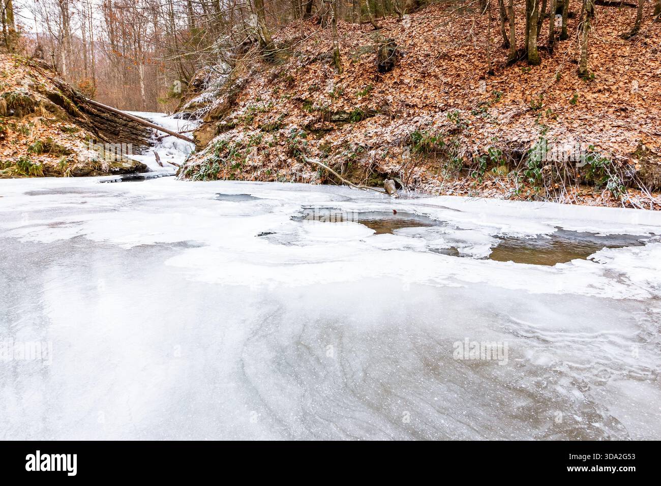 winter landscape with forest and frozen river. tranquil scene with beech trees near the shore of ice covered water stream through carpathian mountains Stock Photo