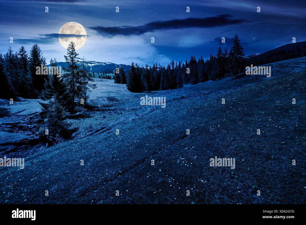 meadow and fir forest in mountains at night. snow capped ridge in full moon light. beautiful spring weather with clouds on sky. countryside landscape. Stock Photo
