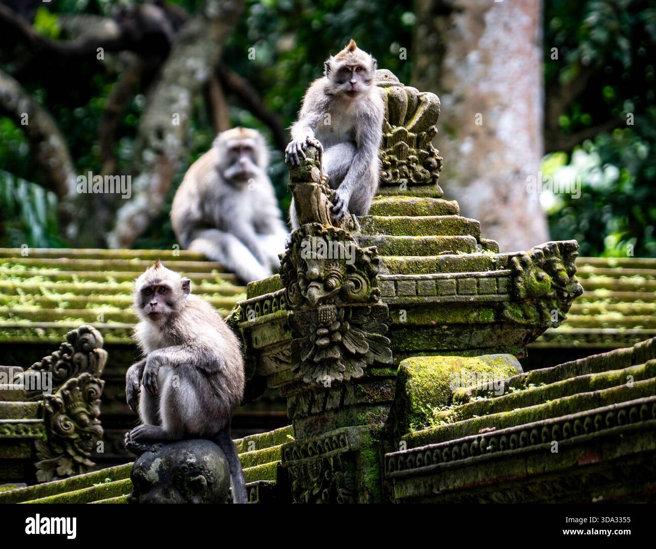 Ancient structures hi-res stock photography and images - Alamy