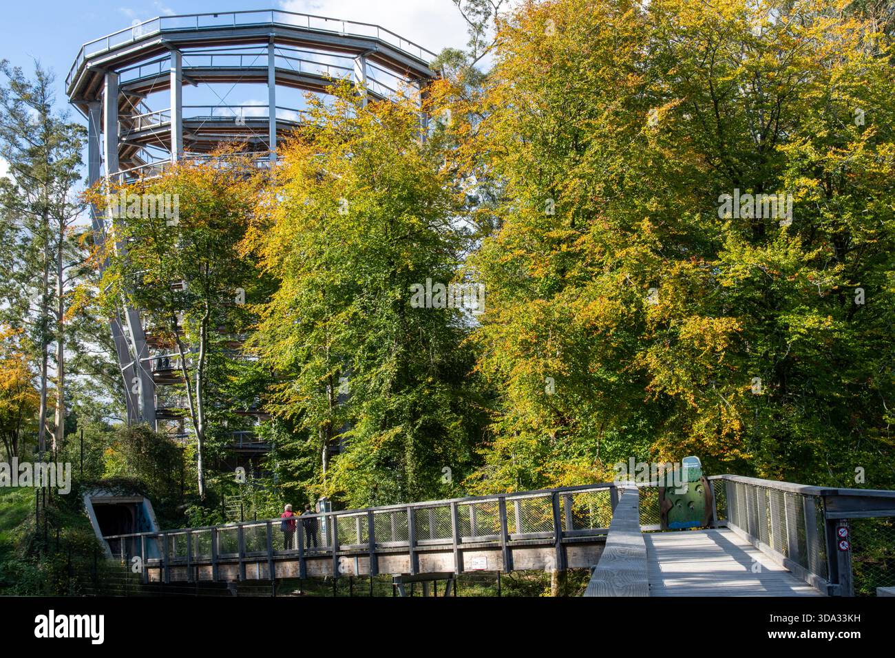 Avondale, Ireland-September 25, 2025; Viewing Tower of the Treetop Walk ...
