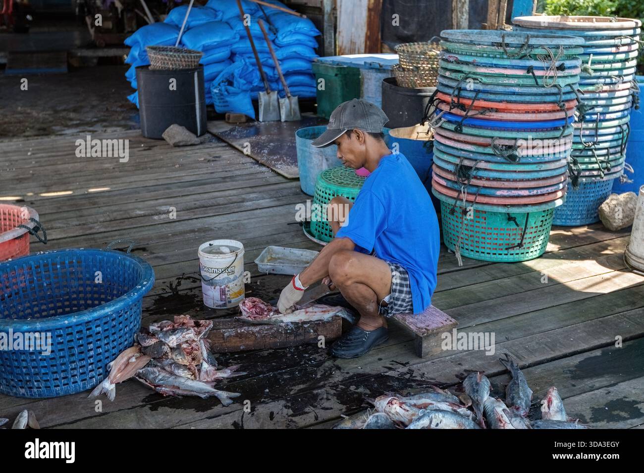 Fisherman cleaning the fish on the pier in the fishing village at Palau ...