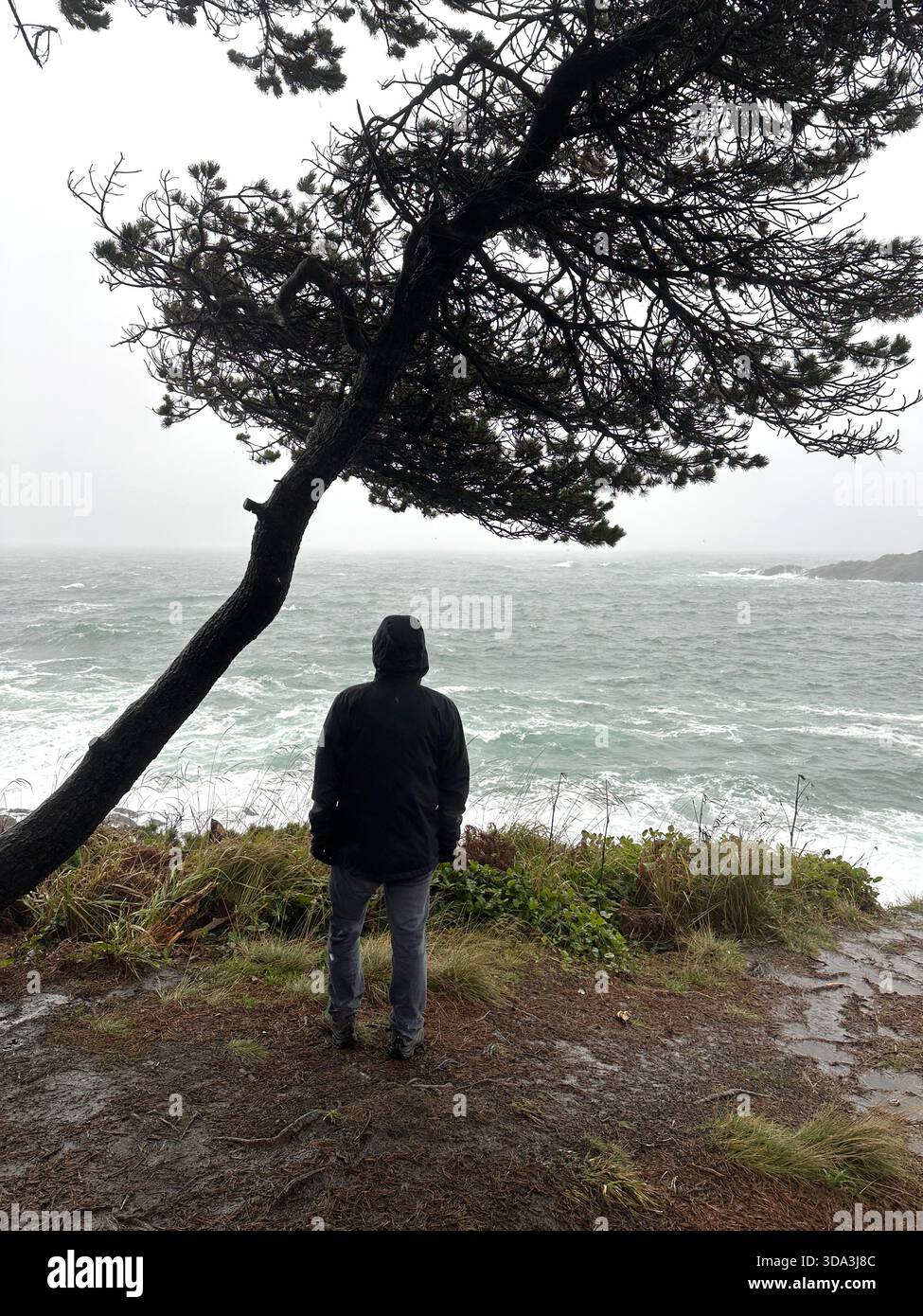 A man as seen from behind looking out over turbulent water during high tide in Depoe Bay, Oregon. - Smartphone Captured Stock Image